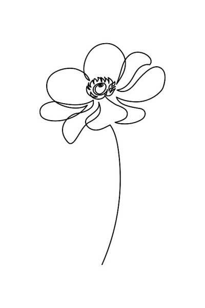 银莲花