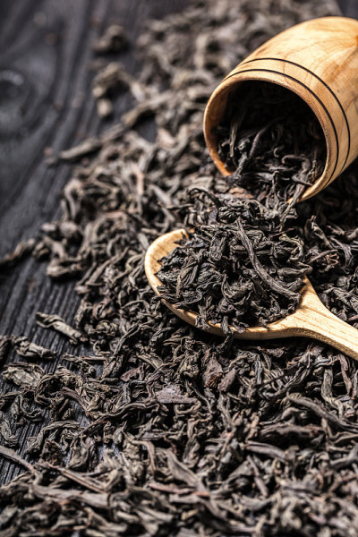 干红茶大叶茶