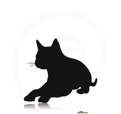 猫的轮廓