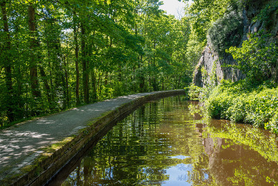 尽兴发挥运河风景