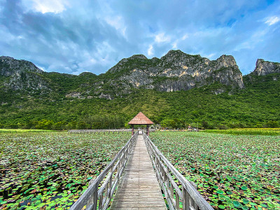 Sam Roi Yot淡水沼泽，走过沼泽，在泰国Prachuap Khiri Khan的Sam Ro