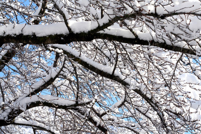 大雪