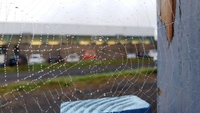 web晨露