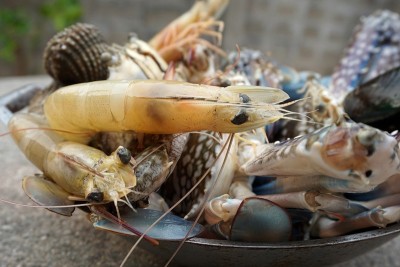 新鲜的海鲜