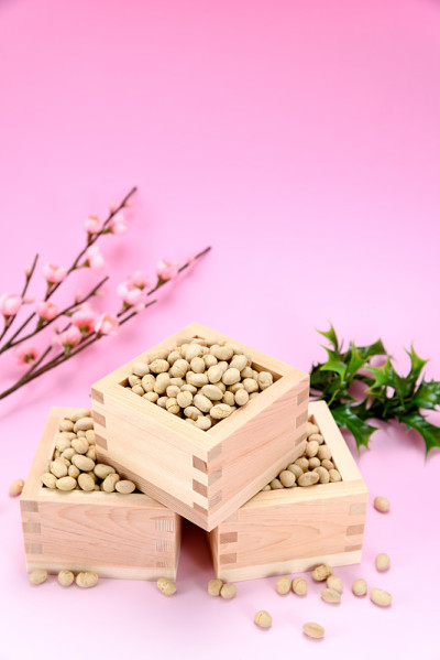 烤黄豆，冬青和梅花。