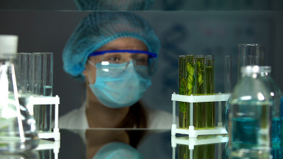 科学家在试管中观察绿色植物生长，进行生物实验
