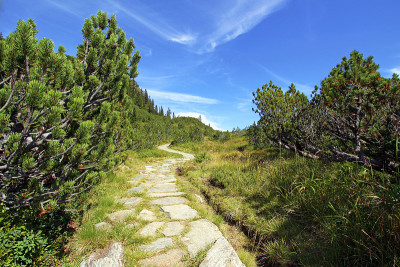 山间小路