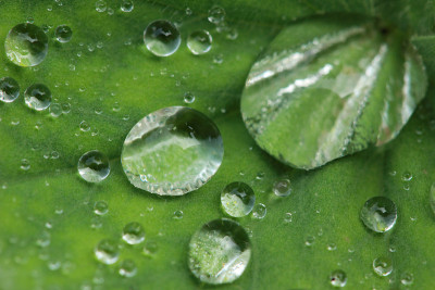 水滴
