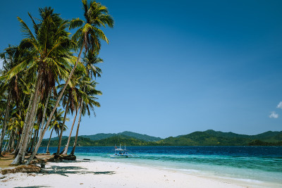El Nido，巴拉望，菲律宾。沙滩上的椰子树和绿松石海水中孤独的菲律宾班卡船。美丽的热带风情跳岛游