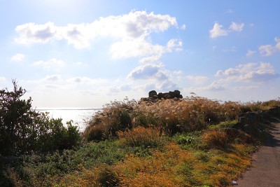 岛屿、岛屿、济州岛、无人岛、悬崖、大海、海浪、无人岛、潜艇、熔岩、旅游景点、游船、