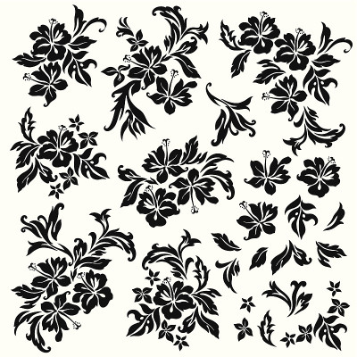 芙蓉