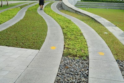 路与黄色箭头草和岩石周围