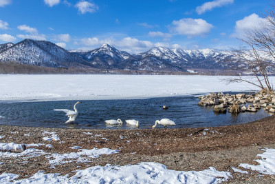 日本北海道的库沙罗湖。