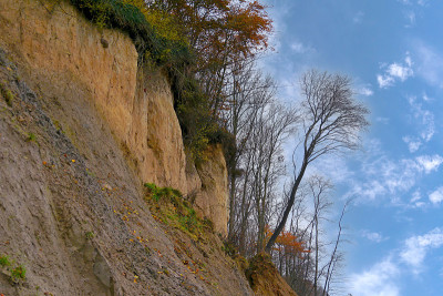 陡峭的河岸Brodtener海岸在Timmendorfer海滩，Luebeck