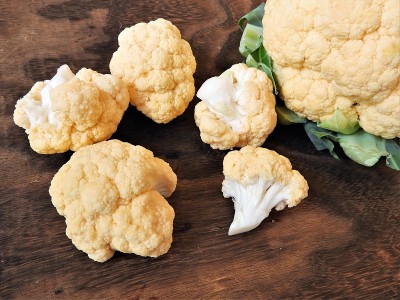 橙色cauliflower1