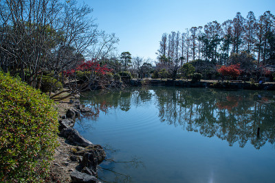 佐贺县佐贺市库诺公园