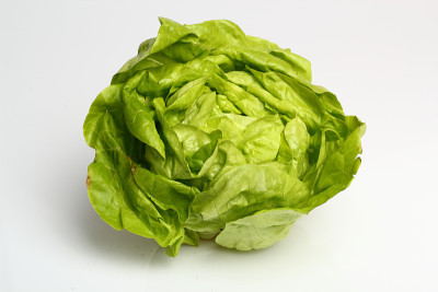 奶油生菜