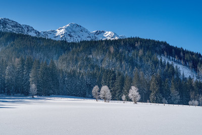 美丽的冬天的风景。树上覆盖着白霜和雪。Leogang, Tirol，阿尔卑斯山，奥地利