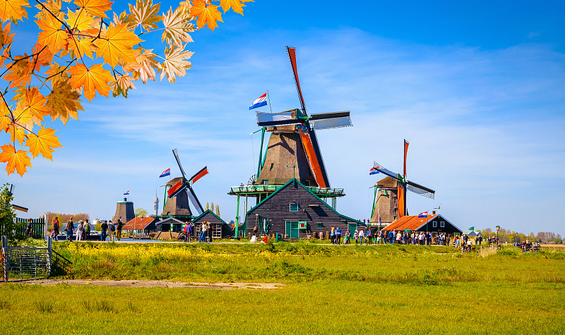 荷兰传统的风车和运河附近的房子，Zaanstad村，Zaanse Schans，荷兰，欧洲