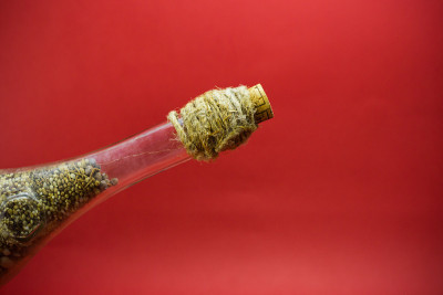 瓶颈上的木塞