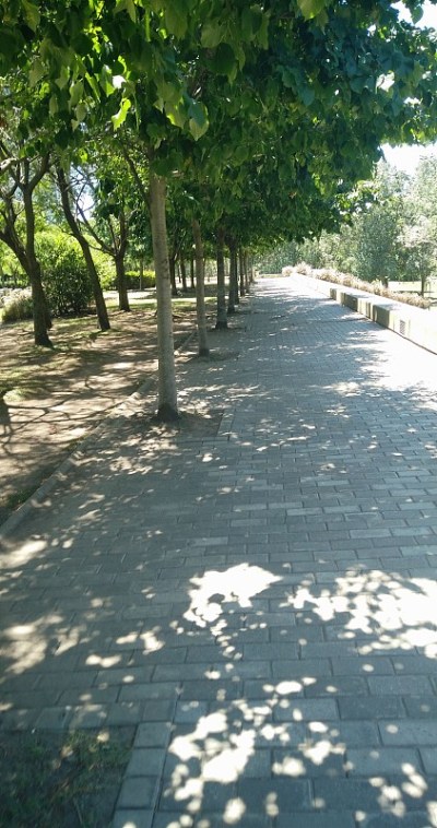 布宜诺斯艾利斯的Vsitas