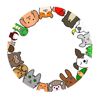 宠物圈