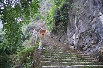 去宁平买山洞