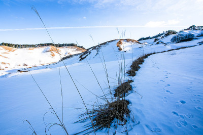 雪高原