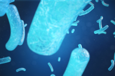 慢性肝病病毒性肝炎感染，受感染生物体中的肝炎病毒，三维示意图