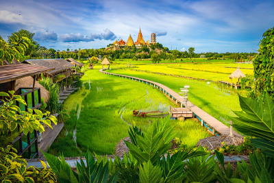 Wat Tham Sua寺庙是泰国北碧府附近的一片稻田。