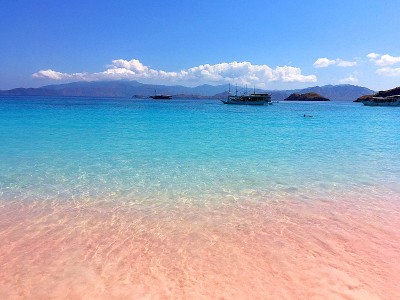 美丽的粉红色海滩和蓝色清澈的水来自科莫多岛(科莫多国家公园)，纳闽巴霍，弗洛雷斯，印度尼西亚