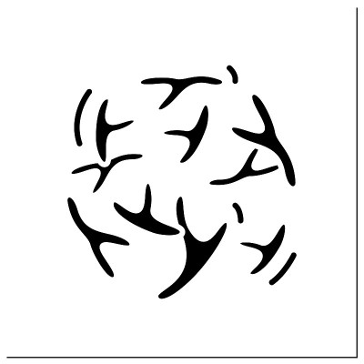 双歧杆菌字形图标