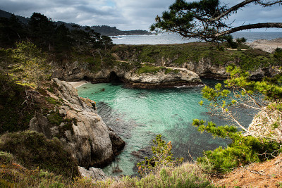 Point Lobos State Park中国湾