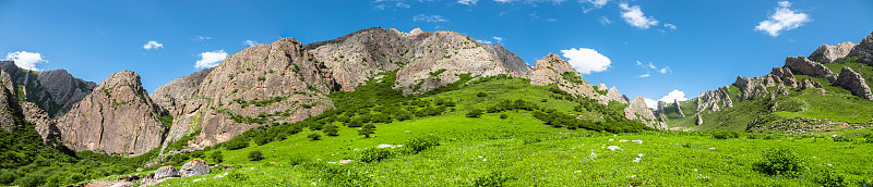 甘家草原全景