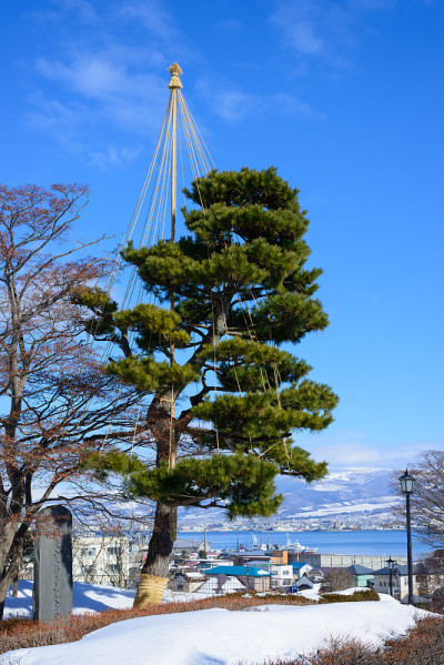 北海道函馆的本町公园