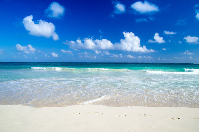 海