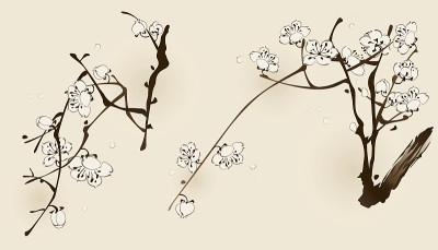 梅花与线条设计