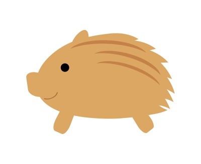 野猪的孩子