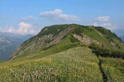 威勒霍恩， 山