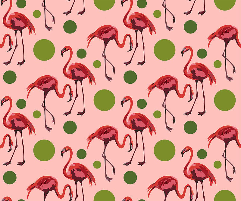 Vector flamingo pattern. Ethnic seamless pattern o