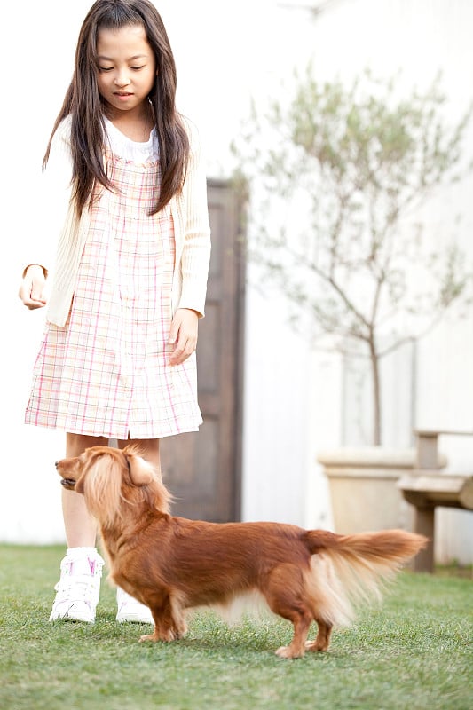 迷你腊肠犬和女孩