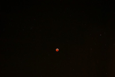 2019年1月21日，被星星包围的血月