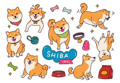 可爱的日本柴犬在涂鸦风格矢量插图