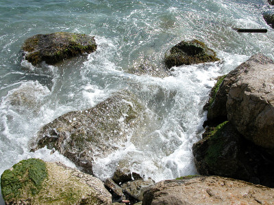 海上冲浪