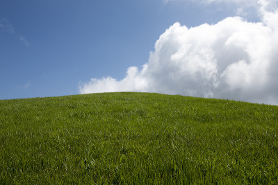 牧场,天空