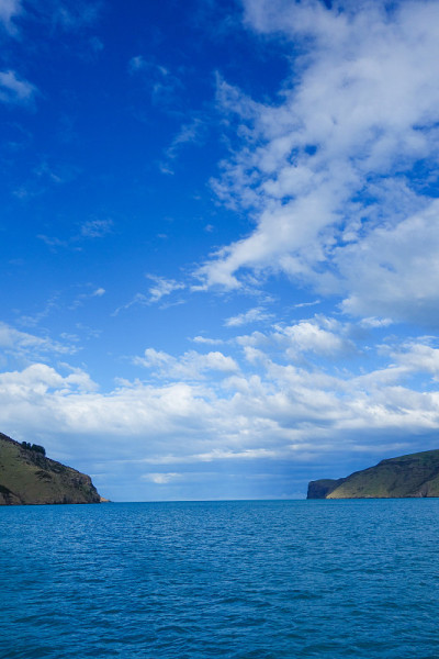 的观点Akaroa