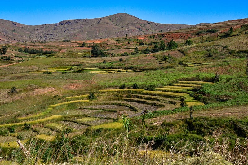 马达加斯加从塔那那利佛到莫龙达瓦的公路风景。梯田很漂亮。