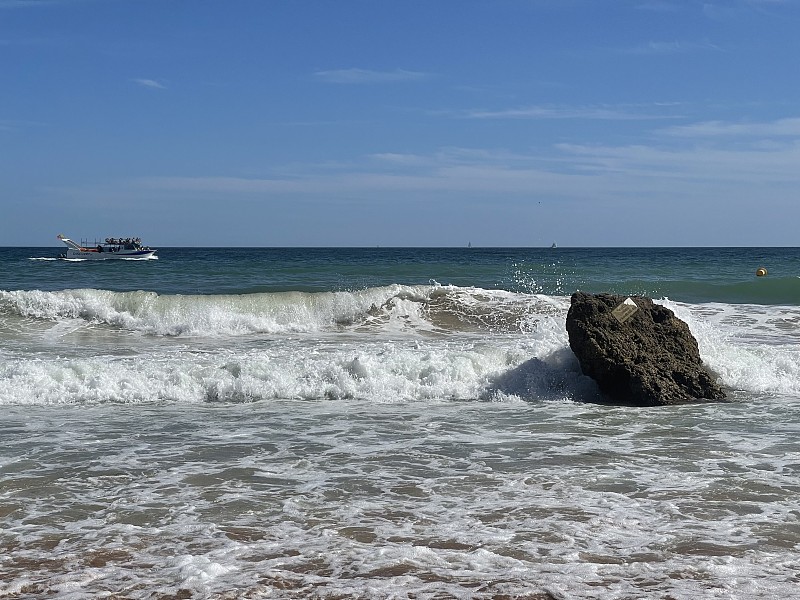 普拉亚多纳安娜海滩碧绿的海水和悬崖，海鸥飞过海滩，葡萄牙。美丽的多娜安娜海滩(普拉亚多娜安娜)在拉各