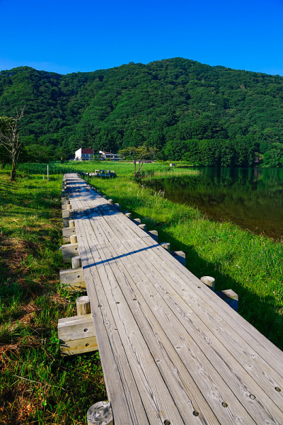 县哈鲁纳公园(群马县高崎市)，一条通往哈鲁纳湖岸边的木道