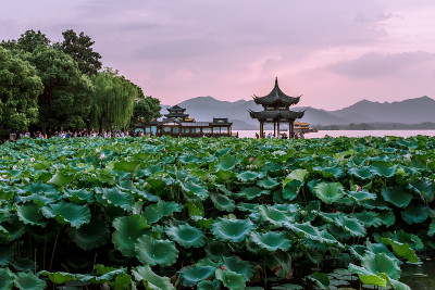 美丽的西湖风光，风景与日落在杭州，中国